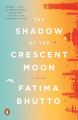 The Shadow of the Crescent Moon by Fatima Bhutto. 