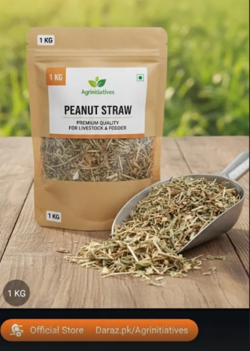 Premium Peanut Hay (Moongphali Hay) – 1 KG 🥜 | High Protein Legume ...