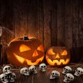 10Pcs Creativity Halloween Mini Skeleton Head Terrifying Table Decor Skull Heads Scary Props Halloween Decor Props Skulls Decoration for Halloween Party. 