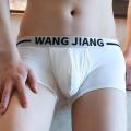 Boxer Men Cotton Underwear Male Crotch Hole Breathable Panties Pouch Bulge Boxershorts Underpants. 