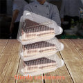 100Pcs Triangle Cheesecake Boxes Triangle Pie Holders Cake Boxes. 