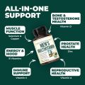 Male Vitamin Capsules Male Vitamin Capsules Cross-border Manufacturer O E M Processing OEM. 