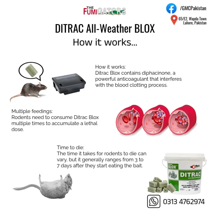 DITRAC%20All-Weather%20BLOX%20(Rat%20Killer%20Bait%20&%20Best%20Rodent%20Control)%20-%20Image%202