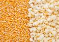 Popcorn 100g Popcorn 100g Popcorn 100g. 