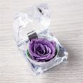 Ring Holder All Match Micro Landscape Forever Rose Ring Box. 