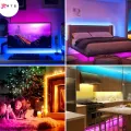 RTS NEON Rope Light  1M to 50M Waterproofs NEON Lights for Room  All Colors Available. 