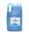 YPZ - Antibacterial Hand Wash 5L – Sea Salt | Deep Cleansing Liquid Soap | Refillable Body & Handwash. 