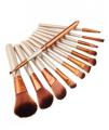 12 Piece Professional Makeup Brushes Set. 