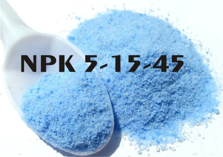 500%20Gm%20-%20Imported%20Npk%2020-20-20%20With%20Te%20All%20Purpose%20Fertilizer%20For%20All%20Plants%20-%20Image%204