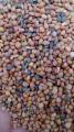 Taramira Seeds (Tukhme Taramira) - 1 Kg. 