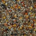 Pigeon feed 1kg. 