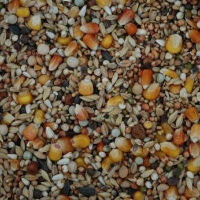 Pigeon feed 1kg