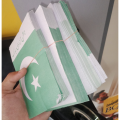 Pakistani Paper Flag Jhandian for 14 August - 300 Hanging Flag Banner for Independence Day Home Decor. 