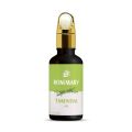 Rosemary Oil – Reduce Eczema & Moisturizing dry scalp. 