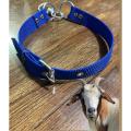Goat / Sheep Neck Strong Collar ( Color Choice ). 