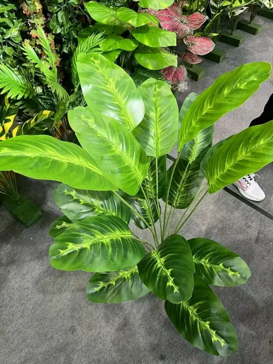 Natural%20Looking%2015%20Leaves%20Artificial%20Areca%20Palm%20Indoor%20Plant%20for%20Home/Shop/Office%20Decor/%20Artificial%20Plant%20With%20Pot%20(Height%203%20feet)%20-%20Image%202