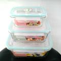 Glass Food Storage Containers with Airtight Lid. 