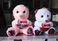 Teddy bear (9 inches). 