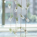 Set of 8  Rope Hanging Small Glass Bud Vase Without Money Plants , Decorative Hanging Glass Plants Vases, Small Hanging Vases, Home Decor, Housewarming Gift By Padini Collection. 