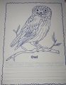 Pack of 6 Colouring Books for Kids - Read Write & Colour -Big Size Books -ABC, 123,animals , fruits, birlds and Vegetables - White. 