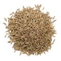 Zeera Safaid 100gm/White Cumin Seeds/Jeera India. 