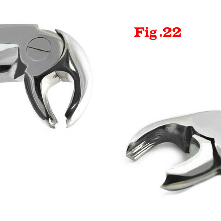 Premium%20High%20Quality%20Stainless%20Steel%20Dentist%20Tooth%20Extracting%20Forceps%20Dental%20Pliers%20For%20Lower%20Molars%20Hawks%20Bills%20Extraction%20Tools%20Fig.22%20-%20Image%205