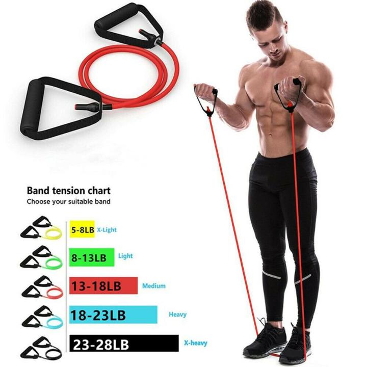 Fitness Exercise Cords Pull Rope Stretch Resistance Bands Elastic Yoga Training Daraz.pk