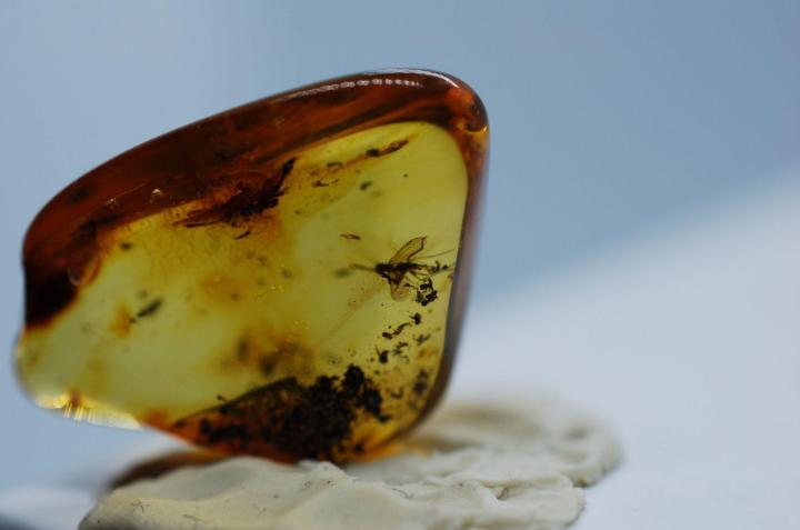 Amber%20Stone%20-%20Image%206