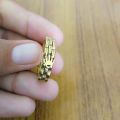Rolex Gold Crown Design Stainless Steel Ring for Men | Premium Fashion Ring. 