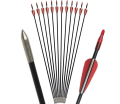 Multiple Quality and Spine Archery Arrows for Recurve and Compound Bow Shooting. 