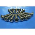 Stainless Steel SS Machine Screw M6 x 25mm and M6 x 16mm. 