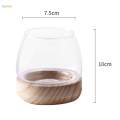 Glass Planter Plant Propagating Jar Desktop Planter for Home Indoor Garden Small. 