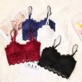 Hot Sexy Bra Female Lace Bralette Sexy Lingerie Underwear Wireless Padded Seamless Ultra Strap Padded Bras for Women. 