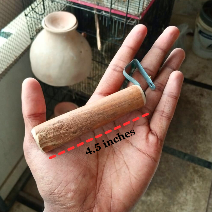 Keeker%20Wooden%20Breeding%20Box%20Stick%20for%20Birds%20-%20Budgies%20Finches%20Java%20Lovebirds%20Sitting%20Stick%20-%20Only%20Sticks%20Pack%20of%202-5-8-10-15-20%20Pieces%20-%20Image%205