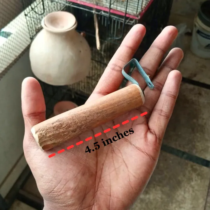 Keeker%20Wooden%20Breeding%20Box%20Stick%20for%20Birds%20-%20Budgies%20Finches%20Java%20Lovebirds%20Sitting%20Stick%20-%20Only%20Sticks%20Pack%20of%202-5-8-10-15-20%20Pieces%20-%20Image%205