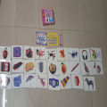 Flash Cards Alphabets ABC, Numbers 123, Urdu Alphabets Alif Bay Pay with Pictures For Toddlers Books for Kids Learning Education 5.0 inches x 7.5 inches Art# M247-Any-1Pkt-Toy-004. 