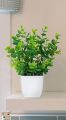 Mini  Artificial Plants Mini Potted Plant Small Greenery Decor for Indoor Home Farmhouse Aesthetic Bedroom Shelf Office Desk Bathroom Decoration. 