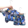 Elegantstunning Boys Short Sleeves Shirt Suit Summer Beach Casual Tops Shorts Two-piece Set For 2-6 Years Old Kids. 
