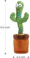 Online Venue Rechargeable Dancing & Singing Cactus – Talking Cactus for Kids – Fun Toys for Babies – Twisting Cactus Plush Toy Education – Learning Toys for Children – Electronic Toys for Toddlers. 