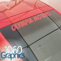 Custom Vinyl Lettering / Choose Any *Color* Text* / Design Your Own Decal / Size 6"x15" inch Car, Truck, Boat, Door, Window, Banner, Sign (Letters & Numbers) Personalized Sticker. 