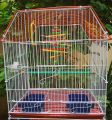 cage for birds single portion 15"x12"x16" with hanging toy. 