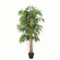 Imported artificial Bamboo Plant with black Planter. 