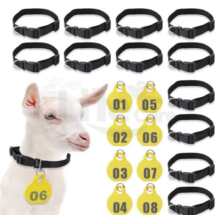 Goat%20Neck%20Tags%20+%20Collar%20Set%20(%20Plan%20Tags%20no%20Numbering%20Mention%20)%20Kisi%20Bhi%20Marker%20Se%20Ap%20Number%20Lihk%20Sahkte%20Hain%20-%20Image%208