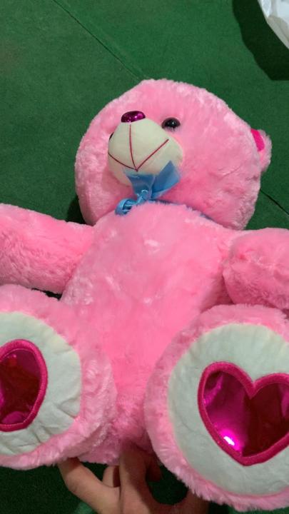 Teddy Bear for Girls – Premium Plush, Soft & Washable Stuffed Toy 18 ...