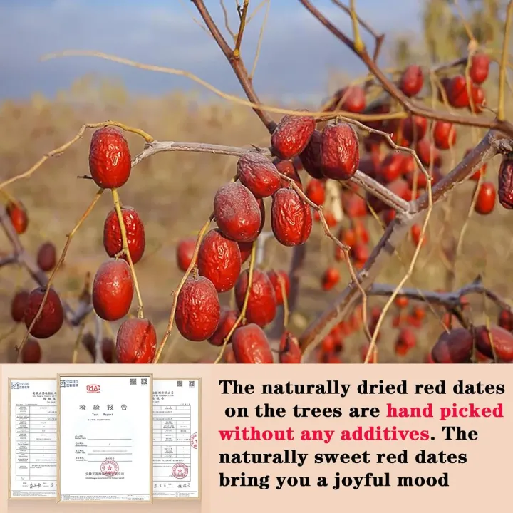 Jujube%20Date%20300g%20Dried%20Red%20Dates%20Fruit%20Jujubes%20Health%20Snack%20Dried%20Fruit%20Big%20&%20Sweet%20Delicious%20for%20Snacking,%20Brewing%20Tea,%20Soup,%20Baking,%20Oatmeal%20No%20Addition%20No%20Sulfur%20-%20Image%203