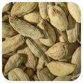 Cardamomum چھوٹی الائچی Elettaria Cardamomum سبز الائچی Green Cardamomum (20-g). 