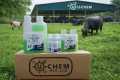 Full Stop | Pour-On | Synergized | Insecticide with IGR. 