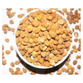 1kg apricot nuts(geri) available in fresh condition without shells. 