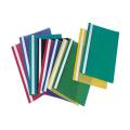 Sensa Transparent File With Strip. 