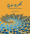 Bikharta Samaj (Colombianization of Pakistan) By Farrukh Sohail Goindi. 